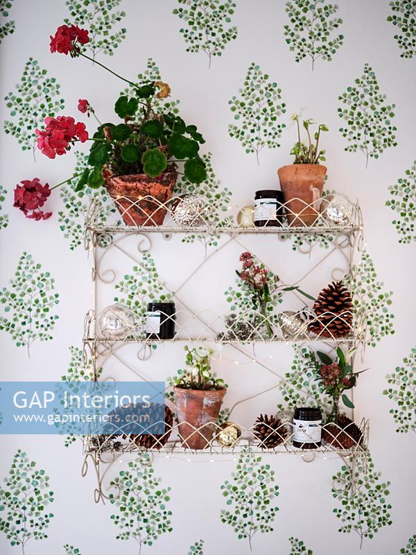 Wall mounted wire shelf with pot plants on patterned wallpaper