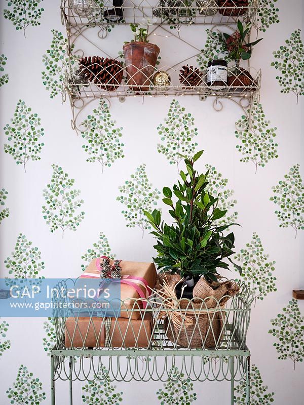 Wall mounted wire shelf with pot plants and Christmas gifts
