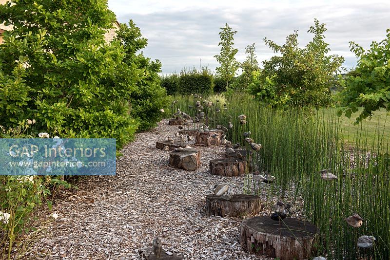 Log stepping stones along gravel pathway in country garden 