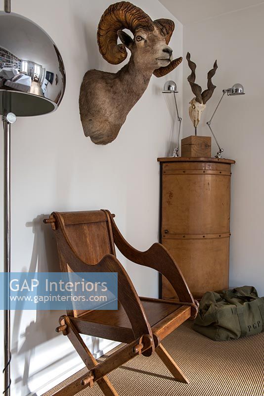 Wooden monks chair underneath trophy head of an animal on wall