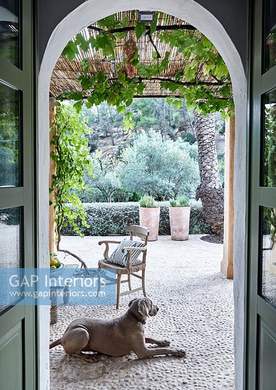 View through door to terrace with pet dog