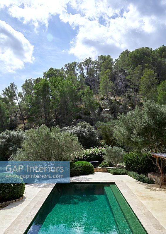 Swimming pool in Mediterranean garden 