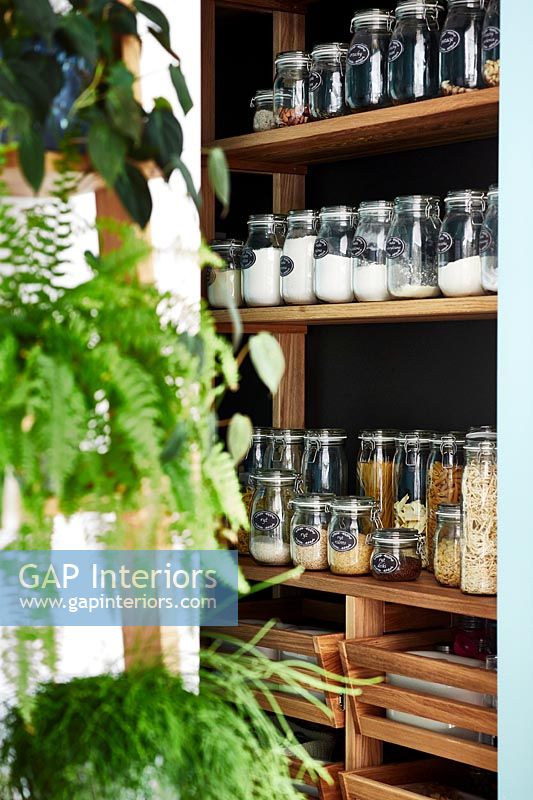 Houseplants outside pantry with storage jars on wooden shelving 