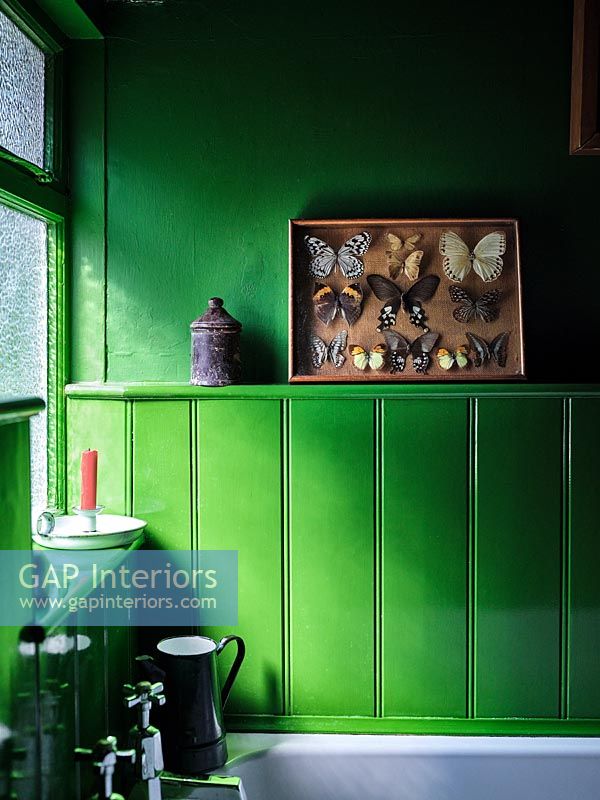 Bright green painted country bathroom - display of butterflies 