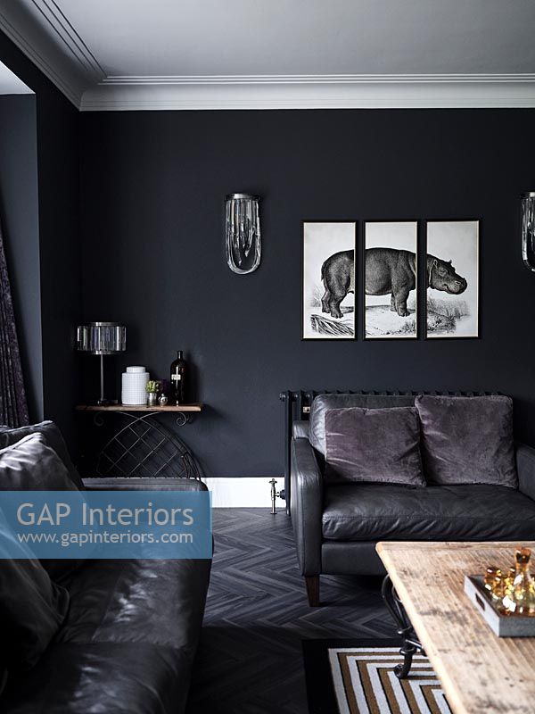 A triptych painting of hippo on black wall in modern living room 