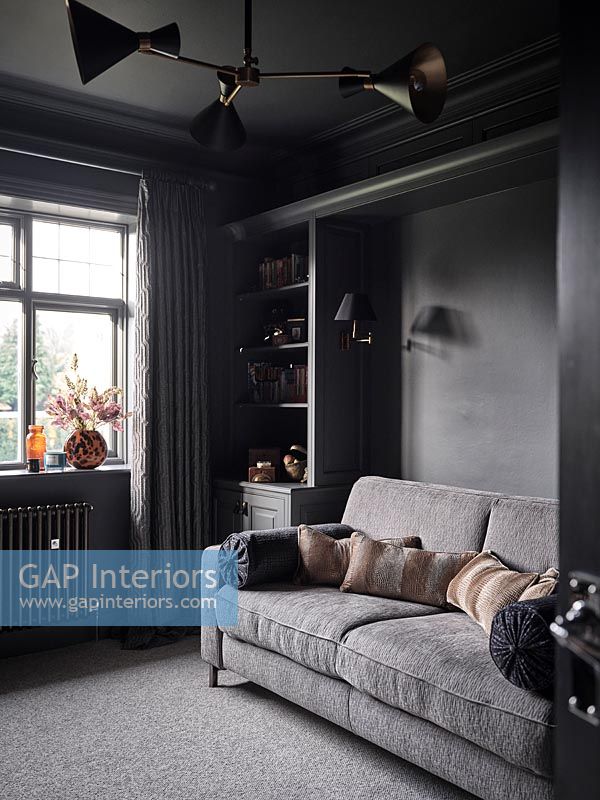 Grey sofa in black painted living room 
