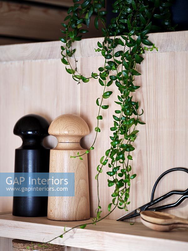Trailing houseplant over shelf in wooden kitchen 