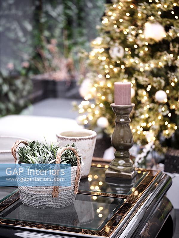 Houseplant in basket on side table with Christmas tree in background 