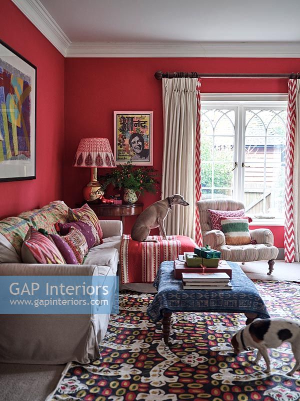 Pet dogs in colourful eclectic living room 