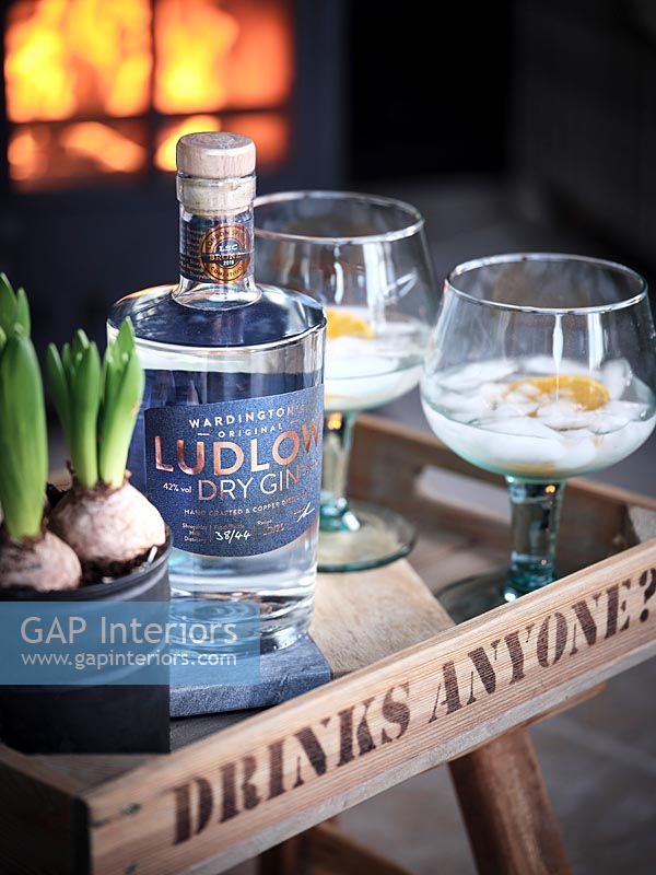 Drinks of gin on tray with lit fire behind 