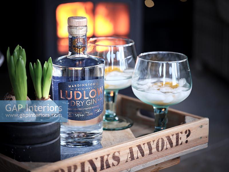 Drinks of gin on tray with lit fire behind 