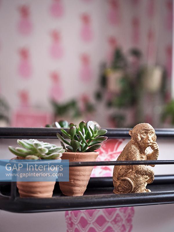 Small succulent plants and monkey ornament - detail