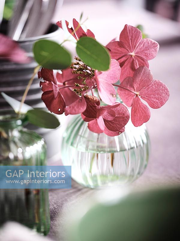 Pink hydrangea flowers in decorative vase on dining table 