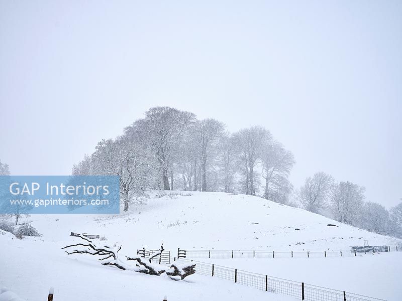 Countryside views in snow 