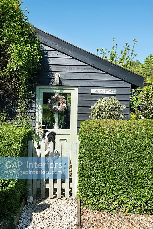 Pet dog at garden gate outside wooden country house 