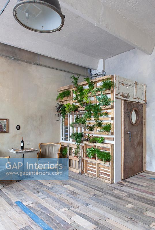 Display of houseplants on pallet covered wall