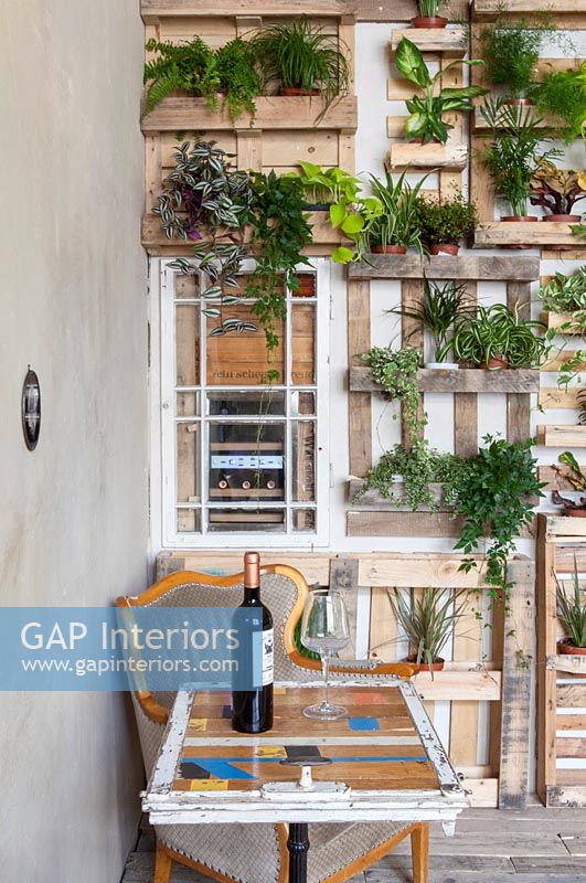 Display of houseplants on pallet covered wall 