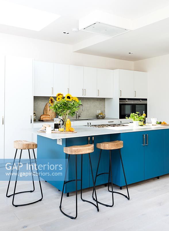 Modern blue and white kitchen 