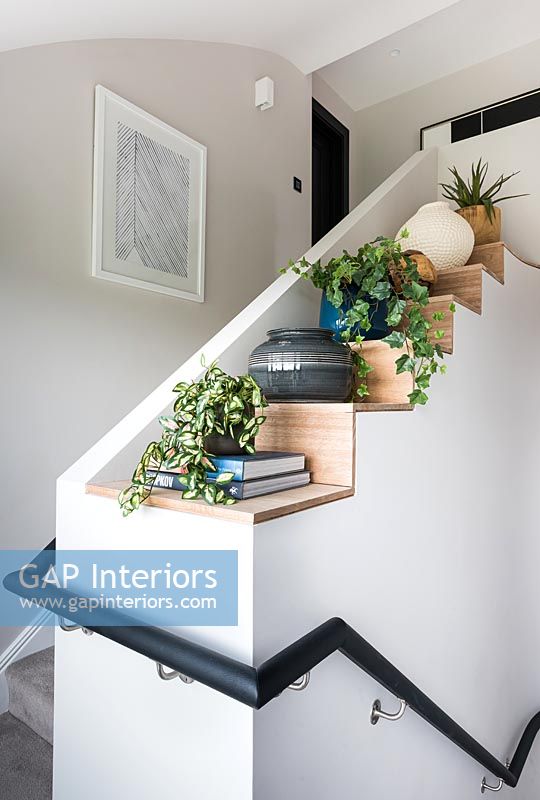 Houseplants on stepped area of stair bannister 