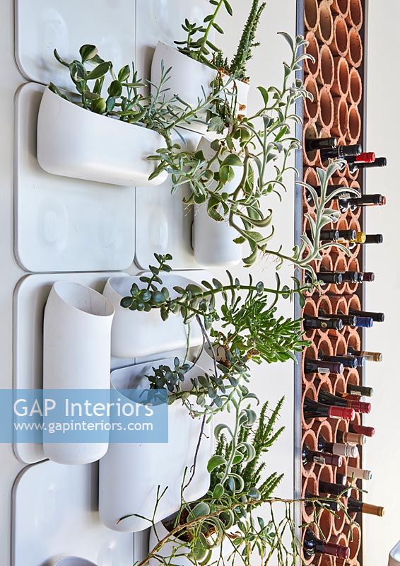 Wall mounted modern plant pots 