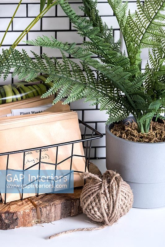 Envelopes of seeds in wire basket next to fern in plant pot 