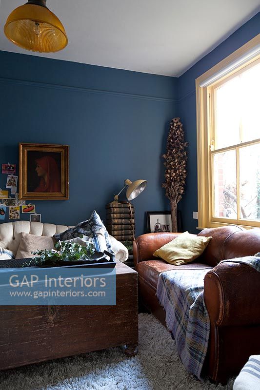 Dark blue painted walls and yellow window frames in modern living room