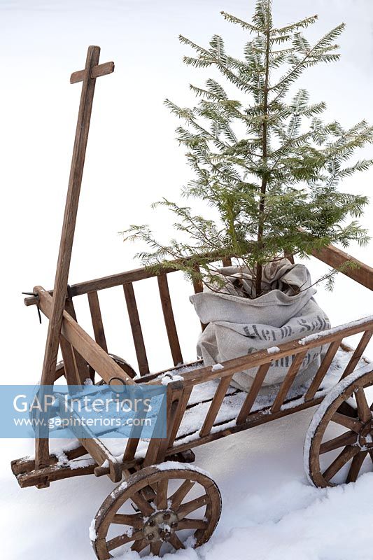Garden cart with Christmas tree