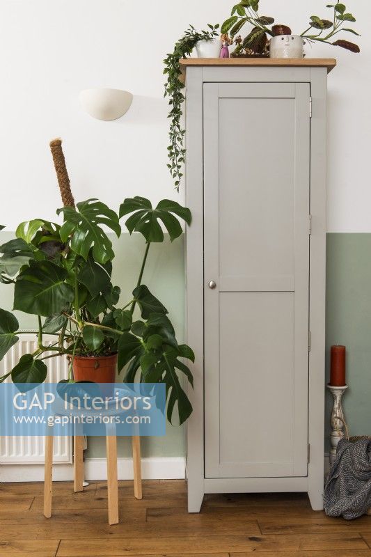 Large houseplant on stool next to narrow storage cabinet 
