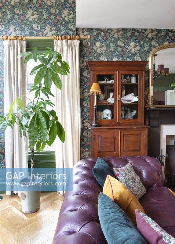 Large houseplant in colourful classic living room