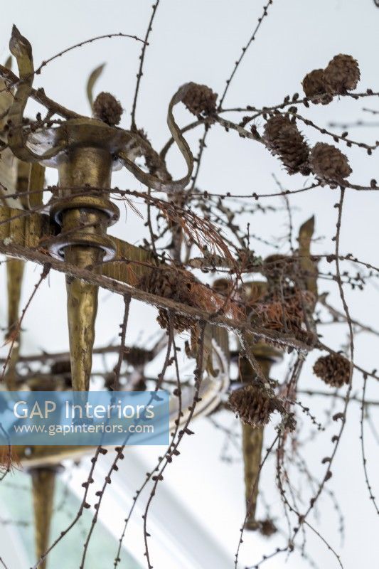 Close up of christmas decorations, branch with fir cones hanging on a chandelier