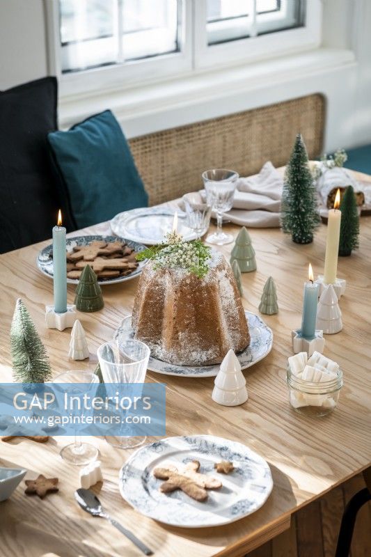 Christmas cake on modern dining table - detail
