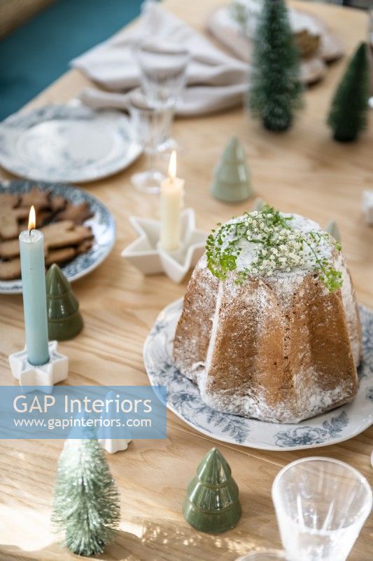 Christmas cake on table - detail