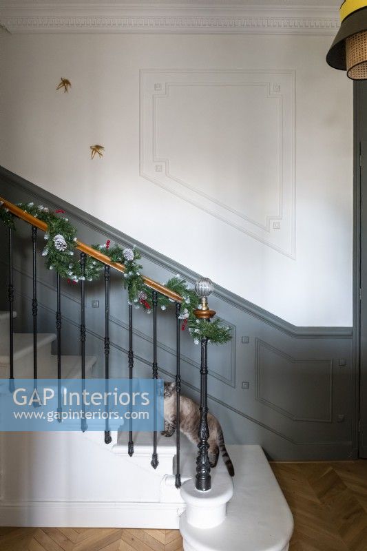 Pet cat walking up stairs decorated for Christmas