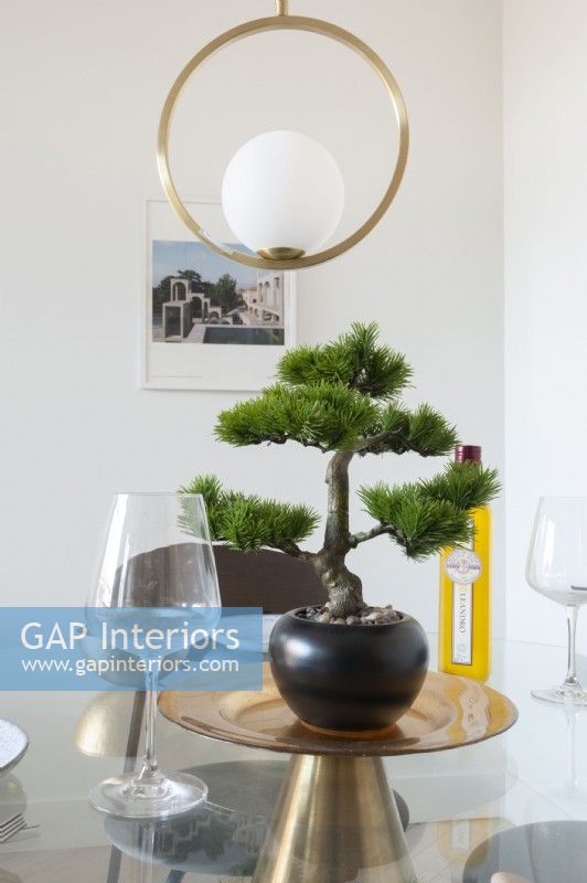 Bonsai plant as a centre piece on a glass dining room table