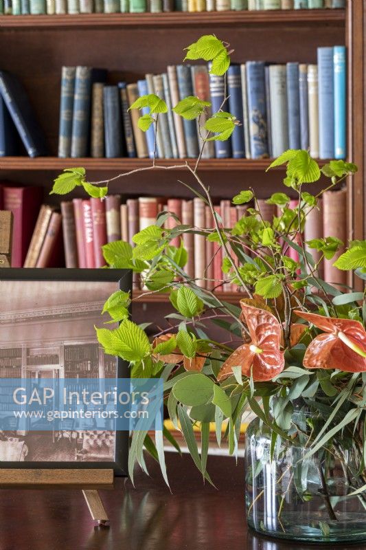Vase of spring foliage and Anthurium house plant in country house library