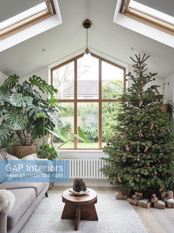 Large Christmas tree in small modern living room