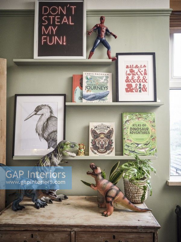 Shelves with pictures books  and  dinosaurs