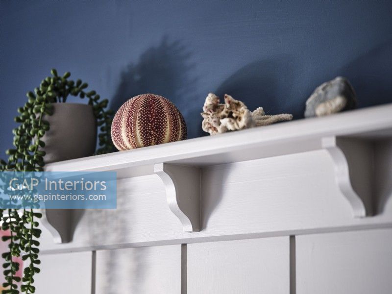 Aquatic themed display on white shelf above panelled wall