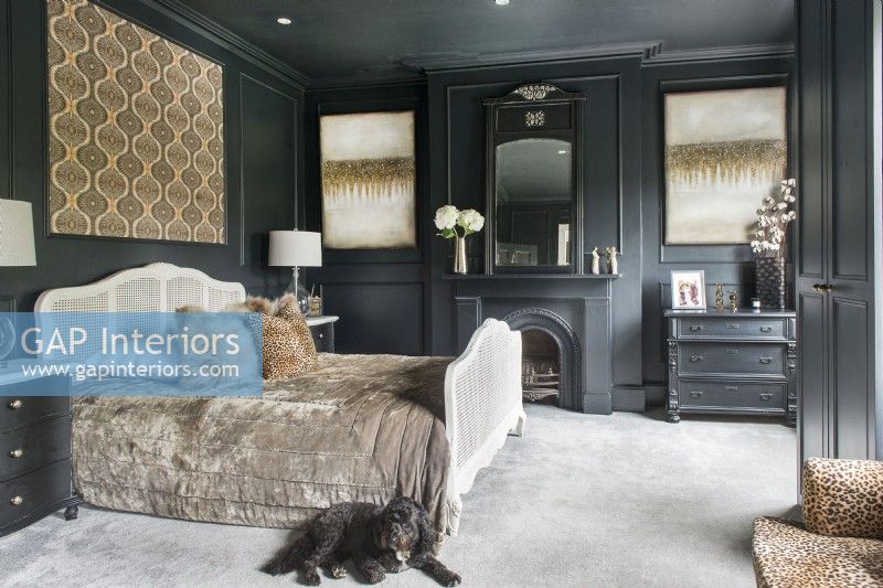 Pet dog in modern black and gold bedroom