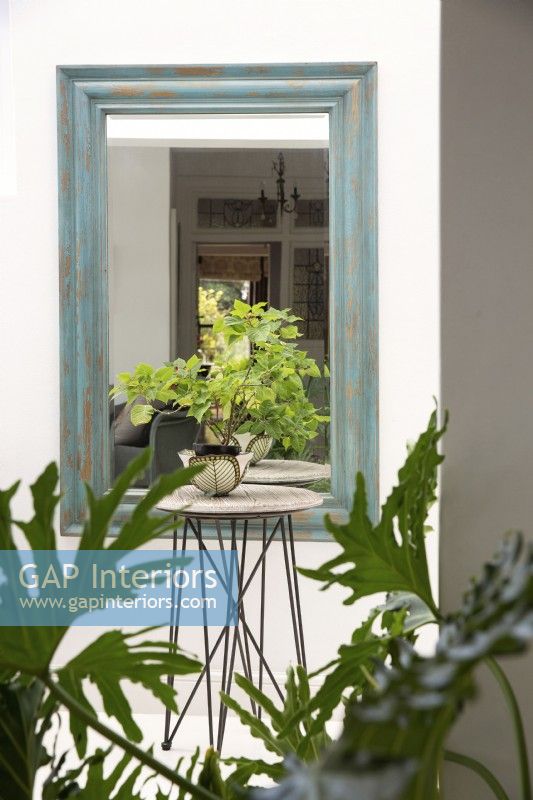 Mirror with plants