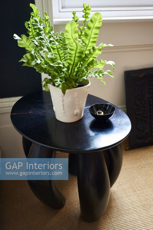Designer side table with a plant.