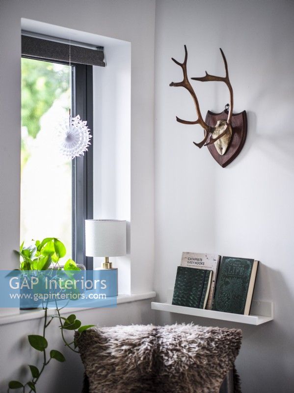 Display of house plants, books, antler wall art and faux fur cushion in front of window