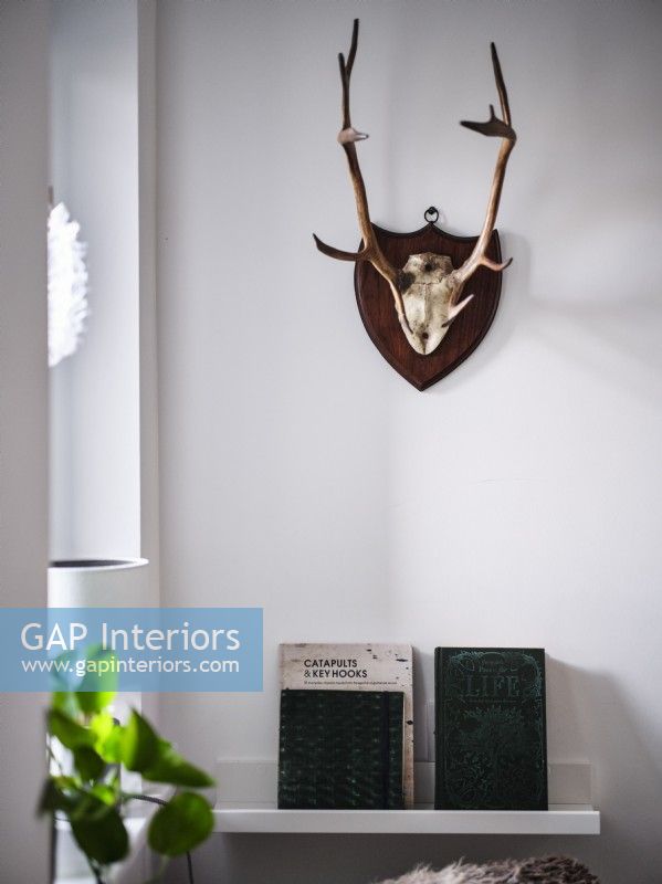 Display of antler wall art and old books