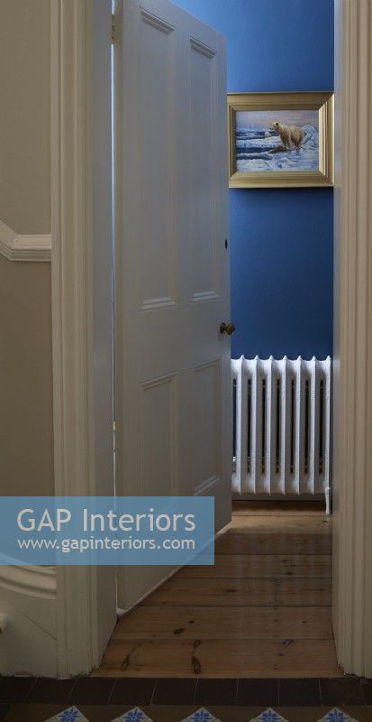 Through a door into a blue painted cloakroom showing white radiator 