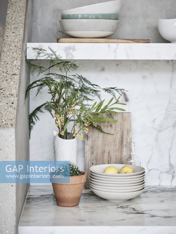 House plant arrangement and ceramic bowls in minimalistic display