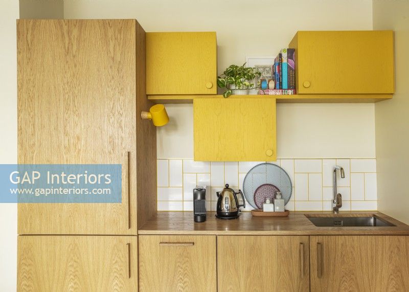 Retro Kitchen Cabinets in Barbican Apartment