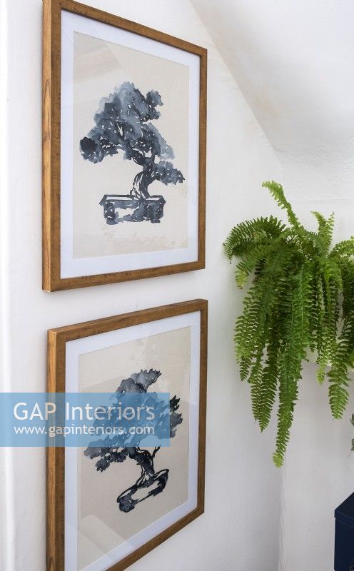 Detail of two framed pictures of bonsai trees