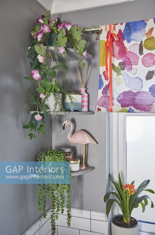 Bathroom detail showing corner shelving with plants and grey painted walls.