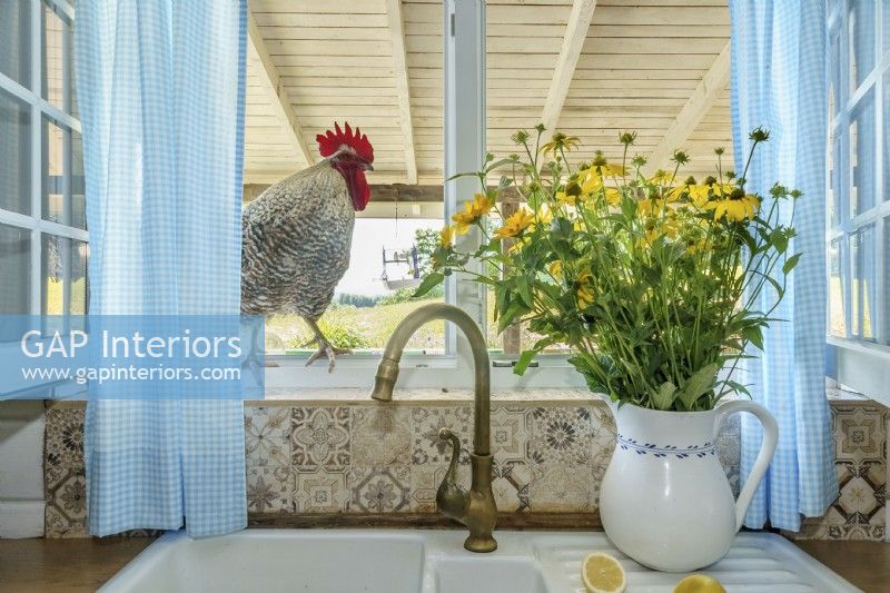 A rooster standing in the kitchen window