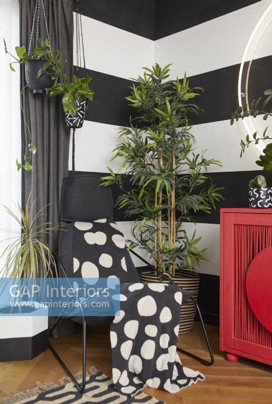 Corner detail in an open plan living room, with black and white striped walls, plants and a modern red cabinet.